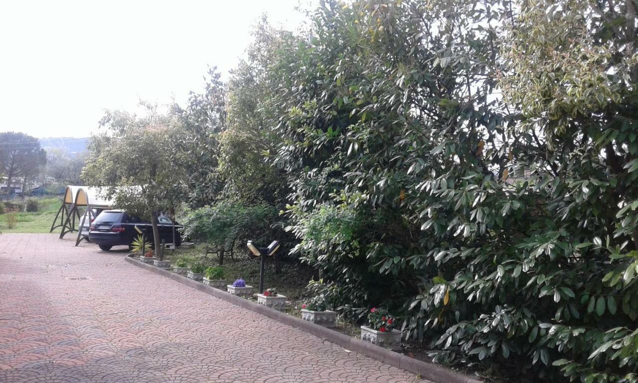 Bed and Breakfast Le Palme Chieti Exterior foto